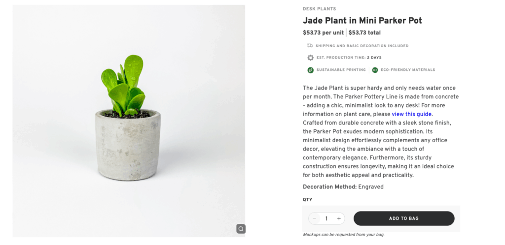 Desk Plant