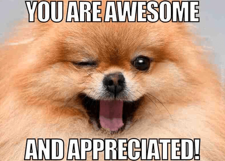 Employee Appreciation Memes