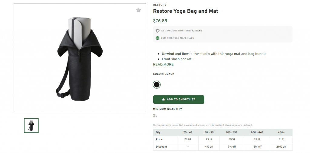 Restore Yoga Bag and Mat