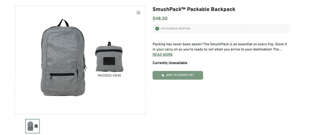 SmushPack Packable Backpack